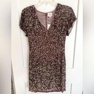 Brand New Parker Sequins Embellished Rose Mauve Silk Dress in Size M